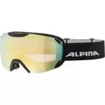 Alpina Ski Brille Pheos